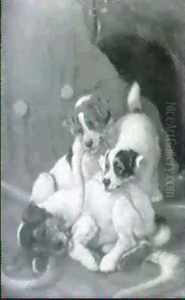 Mischievous Puppies - view 1