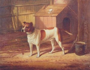 Study Of "boxer", A Dog, Before His Kennel