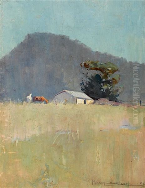 Shiel's Paddock - view 1