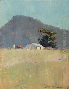 Shiel's Paddock