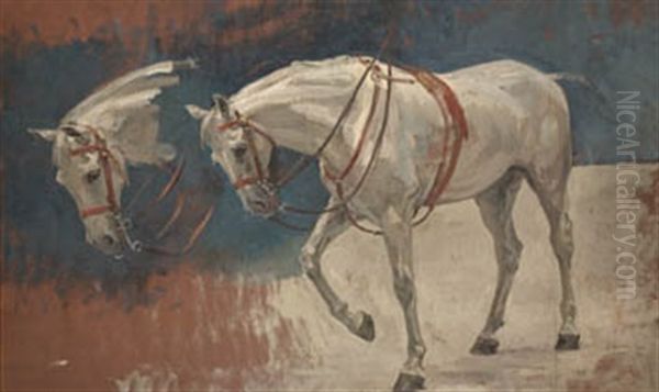 Caballos - view 1