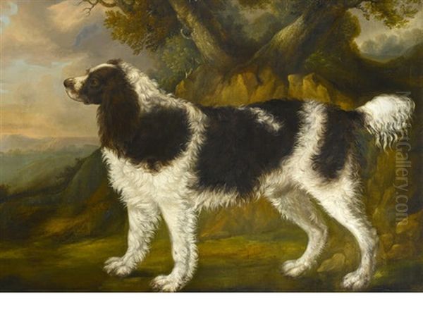 Spaniel In A Landscape - view 1