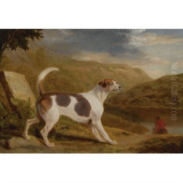 Colonel Thornton's Hound Lucifer In A Scottish Landscape - view 1
