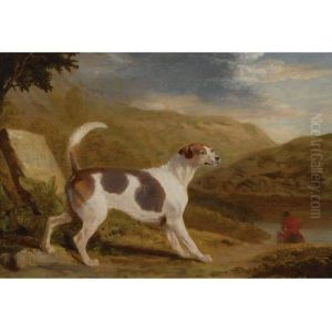 Colonel Thornton's Hound Lucifer In A Scottish Landscape