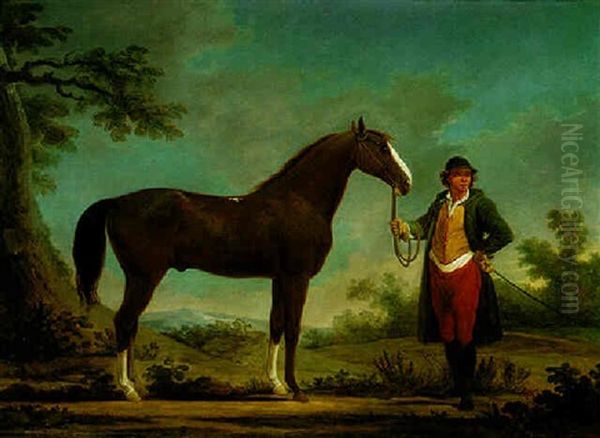 A Bay Hunter Held By His Owner In A Landscape - view 1