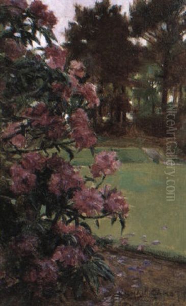 The Rhododendron Bush - view 1