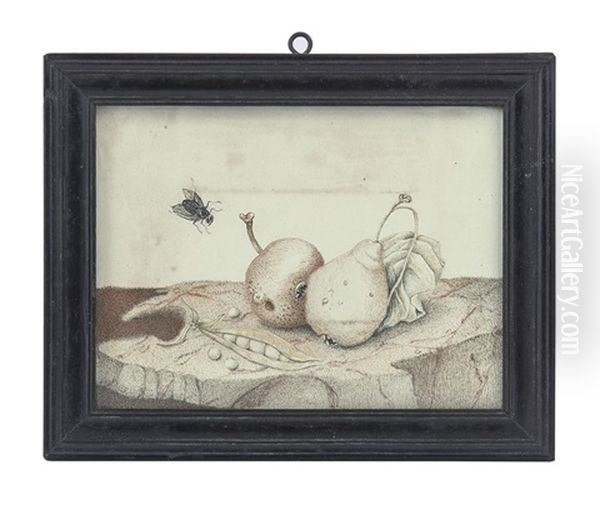 Natura Morta Con Frutti E Mosca - view 1