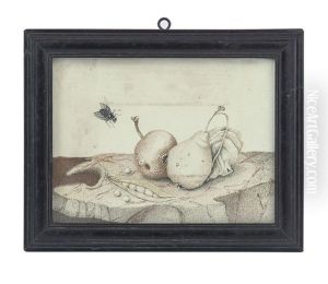 Natura Morta Con Frutti E Mosca by Giovanna Garzoni