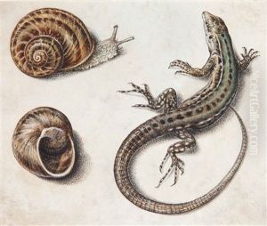 Eidechse Und Schnecke / Lucertola Con Lumaca