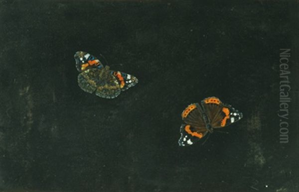 Zwei Schmetterlinge - view 1
