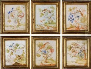 Uccello Azzurro Con Insetto E Grandi Garofani