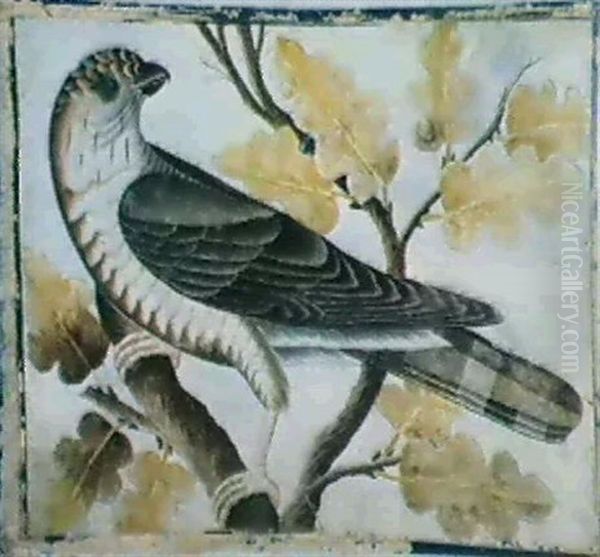 Uccelli E Altri Animali - view 1