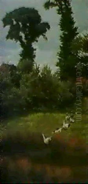 Ganse In Taunuslandschaft - view 1