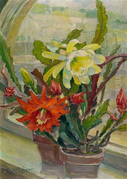 Still Life With Queen Of The Night Cactus - view 1