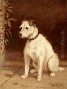 Seated White Terrier