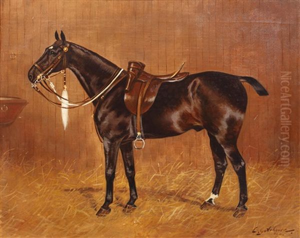 "cubic By Root" - Portrait Of A Racehorse In A Loose Box - view 1