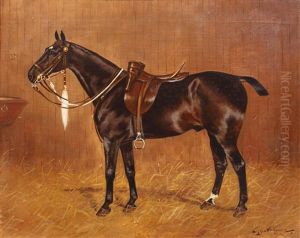 "cubic By Root" - Portrait Of A Racehorse In A Loose Box