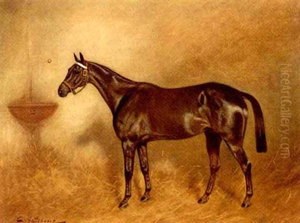 A Bay Hunter In A Stable - view 1