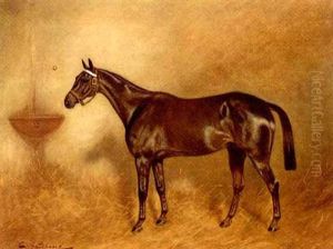 A Bay Hunter In A Stable