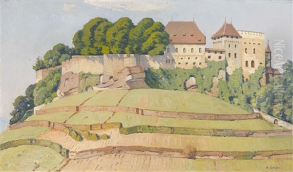 Schloss Lenzburg - view 1