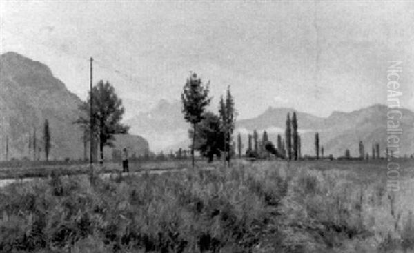 Sommerlandschaft Mit Bauer Am Strassenrand - view 1