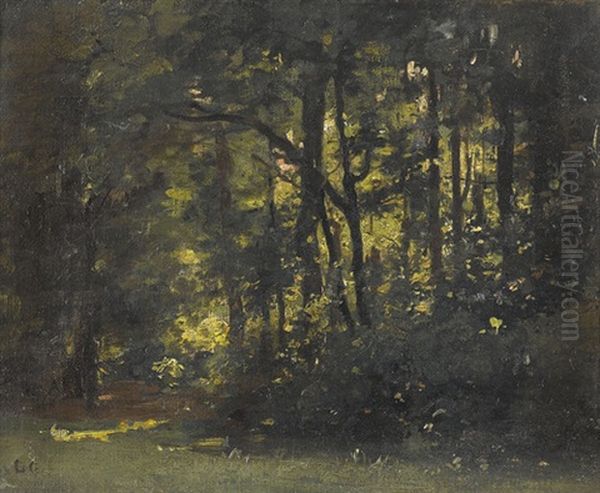 Waldlichtung - view 1