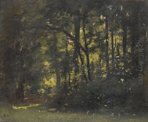 Waldlichtung