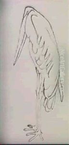 A Stork