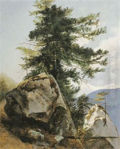 Partie In San Marco by Friedrich Gauermann