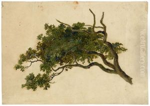 Studie Eines Astes by Friedrich Gauermann