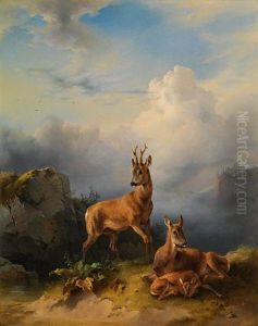 Deer Family Deer Family