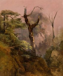 Woodland Study by Friedrich Gauermann