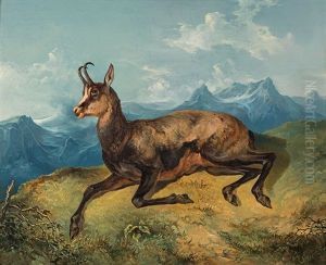 Chamois In Front Of The Backdrop Of Mountains by Friedrich Gauermann