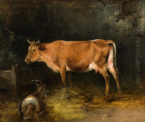 Cow And Goat In A Stable - view 1