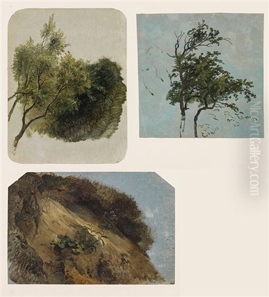 Mixed Lot 3 Studies: Studies Of A Tree, A Branch And A Rock - view 1