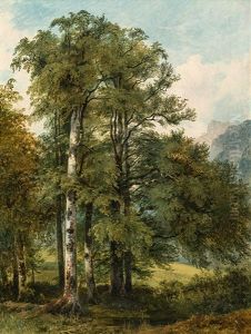 Waldlandschaft by Friedrich Gauermann