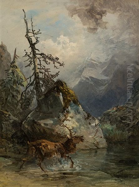 Deer On The Bank Of A Mountain Lake - view 1