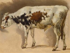 Study Of A Young Bull by Friedrich Gauermann