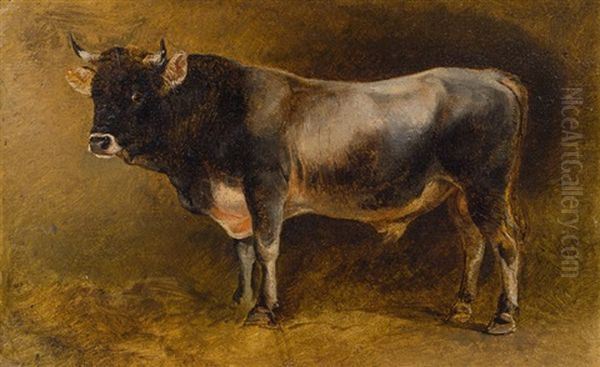 Study Of A Bull - view 1