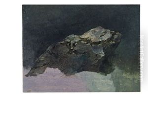 Study Of A Rock