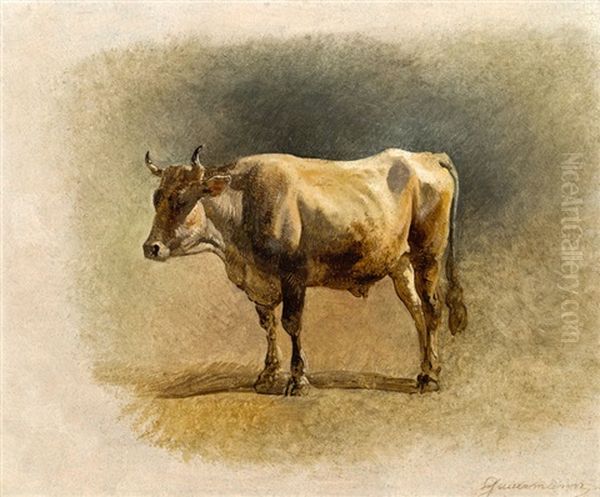 Stier - view 1