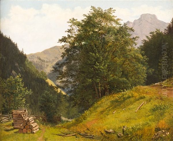 Landschaft Im Ausseerland Mit Blick Auf Den Berg Loser - view 1