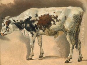 Weis-braun Gefleckter Stier by Friedrich Gauermann
