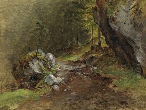 Sonnenbeschienener Waldweg Sonnenbeschienener Waldweg