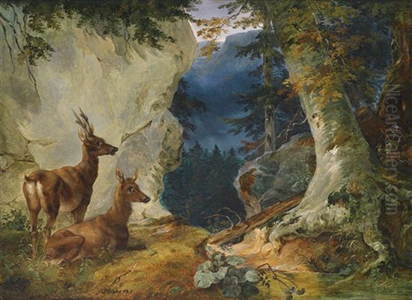 Zwei Rehe In Gebirgslandschaft - view 1