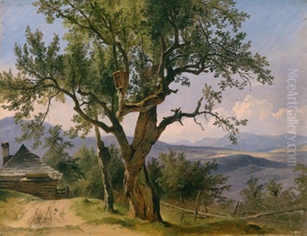 Alter Baum Mit Andachtsbild - view 1