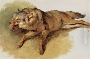 Liegender Wolf by Friedrich Gauermann