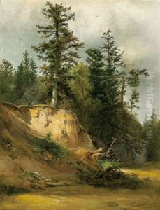 Felsen Mit Baumen Bei Einem Bach Felsen Mit Baumen Bei Einem Bach