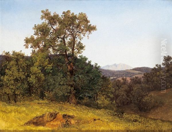 Waldlandschaft Bei Miesenbach Mit Blick Auf Den Schneeberg - view 1