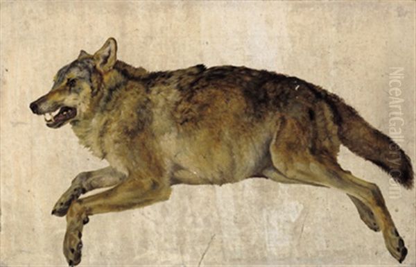 Erlegter Wolf - view 1